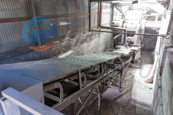 廠(chǎng)區(qū)環(huán)境